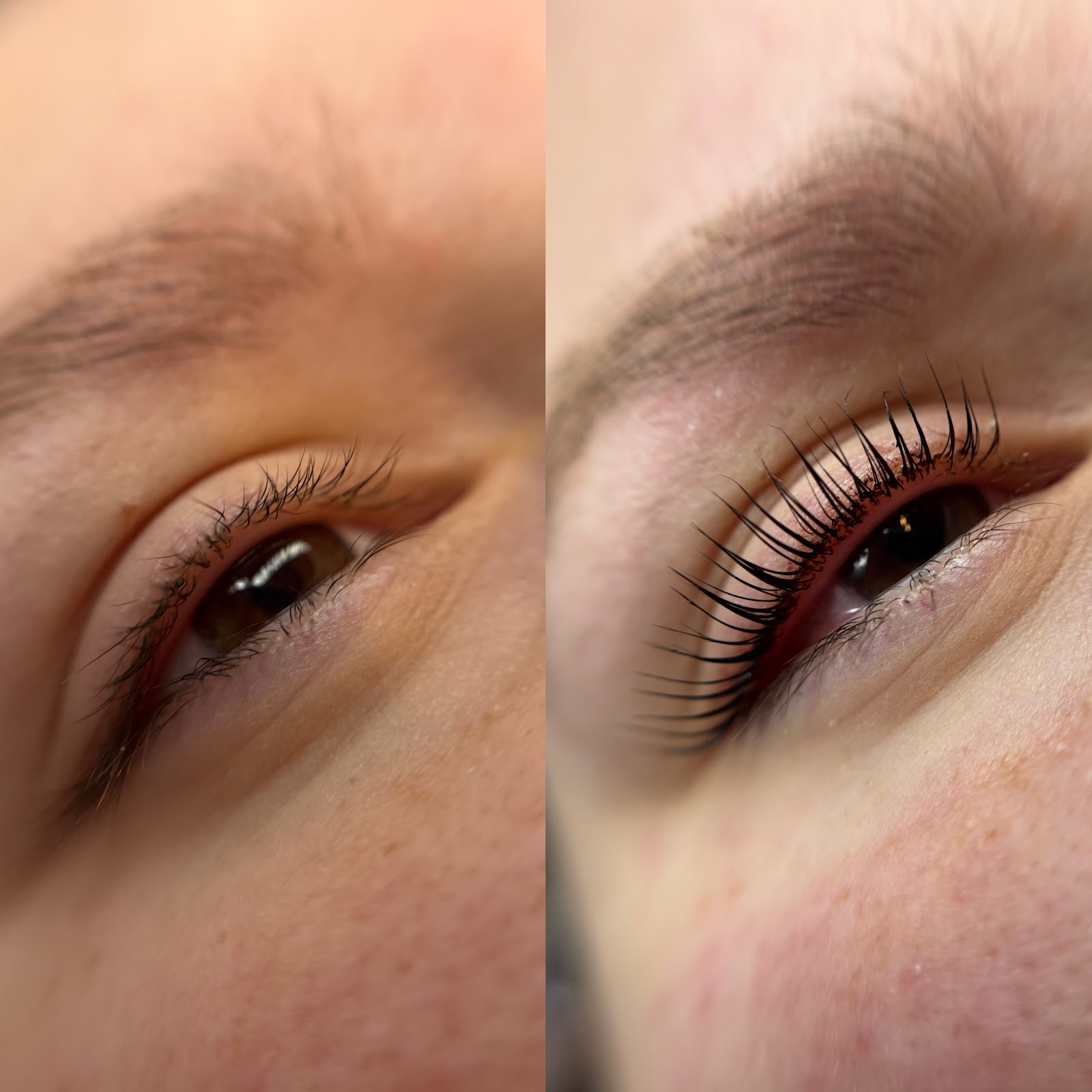 Dari Cosmetics Beauty Studio – Lash & Brautstyling in Altmannstein